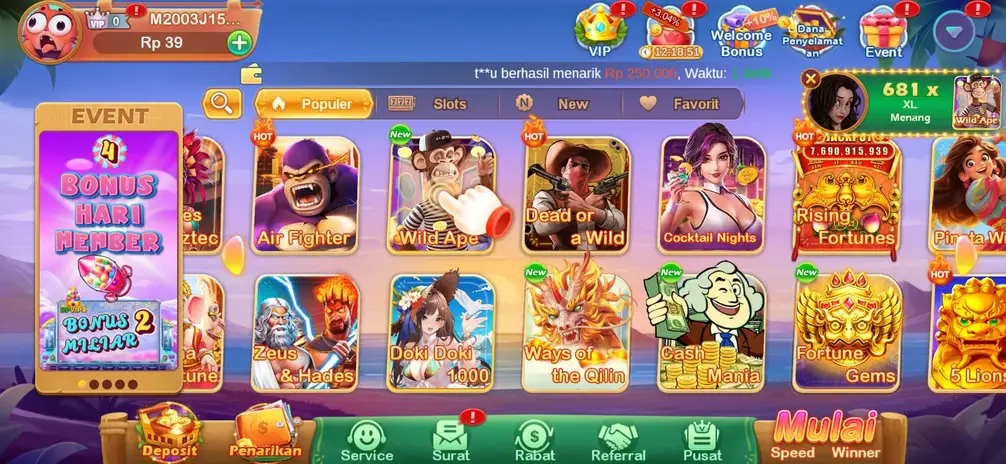 RPVIP4 Screenshot 1